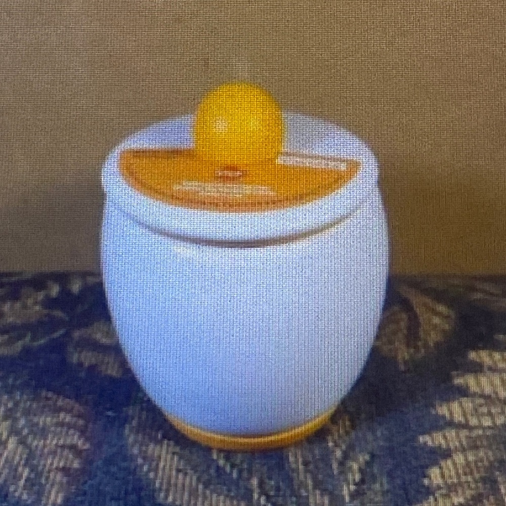 Egg-Tastic Yellow and White Ceramic Microwave Easy Egg Cooker